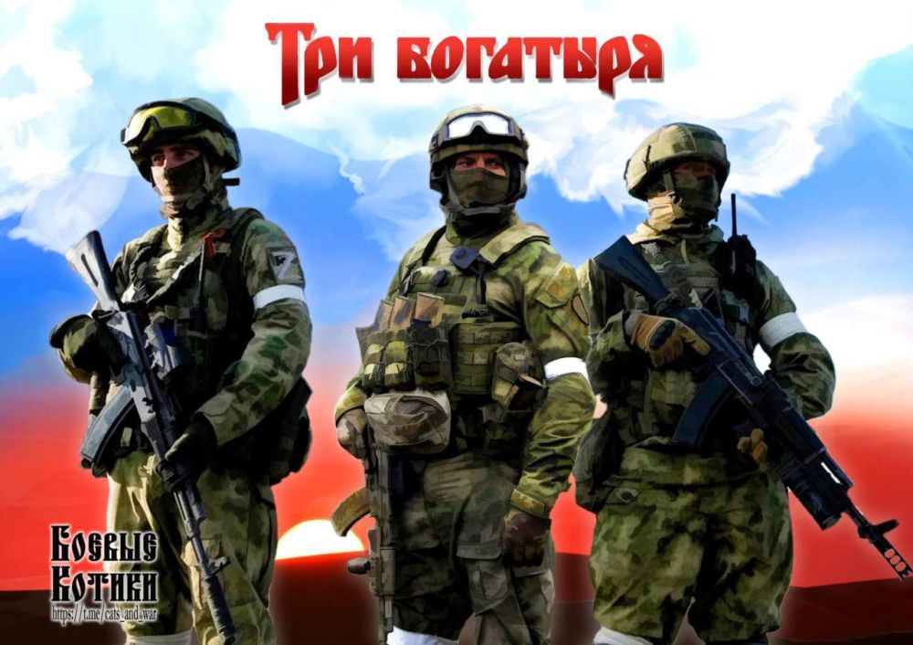 ��� ��������!. �����: @cats_and_war