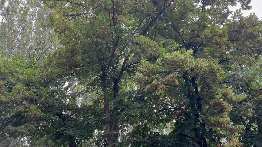 ������� ��������� ��������!