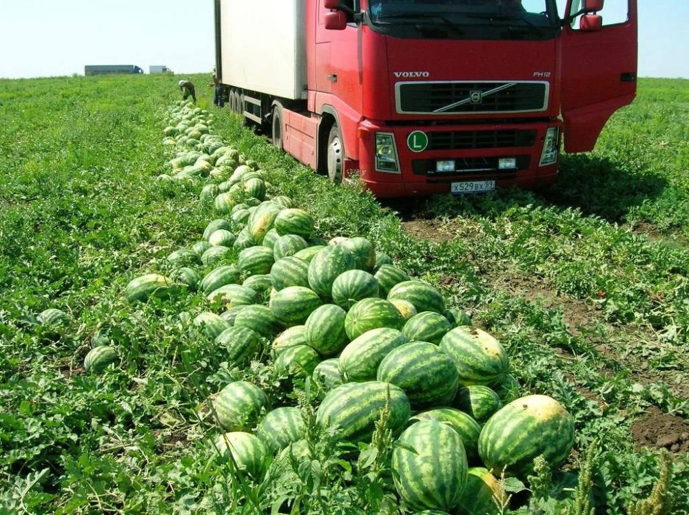 3 ������� �� ����� ���� �������� ���� ������: � ��������� ��������