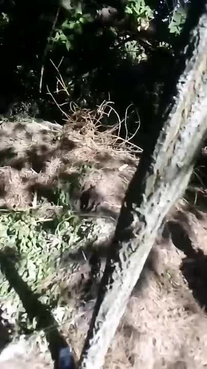 ������ ����� � ���������� ������������ ���������������� �� ������ �������� ���� ������� � �����������, ��� ������ �������� - �������, ���� ���� �������, ������