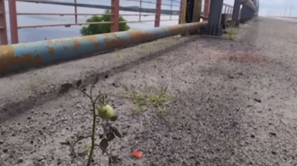 �� ����������� ����� �����