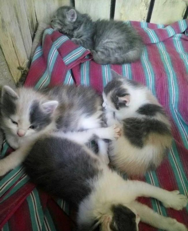 ������ �� ����� ������� ���� ���� �����!