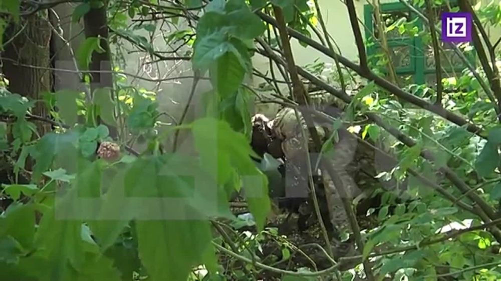 �������� ���������, ����������� ����� ��� ������ ����� ���������