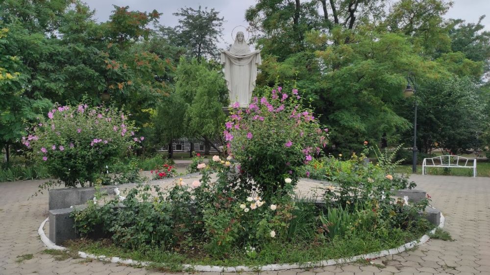 4 ������� � ������� ��������� �� 29 �����, ����� �������� 2,5 �/�, ������� ����������