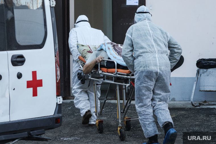 ����� ���������� ������� ��������������� � ������