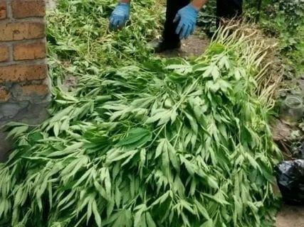 � ������������ ���� ����� �� ��������� ��������� ����������� ��������� ��������