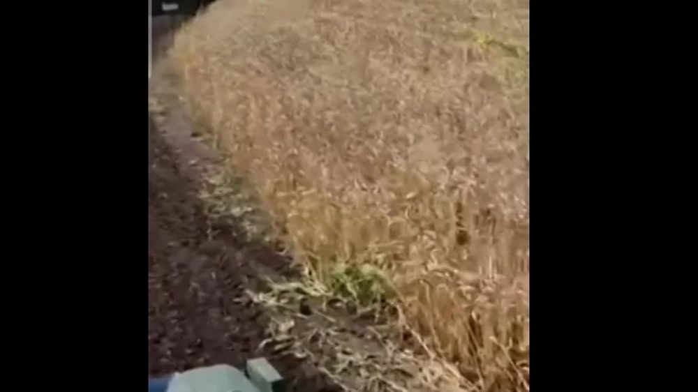 � ���������� ������� ��������� ��� �� ����� ���������� ������� ������ ����������� �� �������� ����������� � ����� ���������� ����� ���������� ��������� ��� ������) �� ��� ���������� ��� ������� ����� � ��� 8 ��� "����������������"