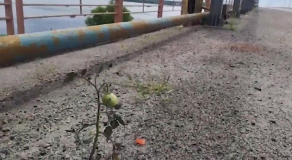 ������������� �������� �� ������������ ����� �������� �� ��������� ������!