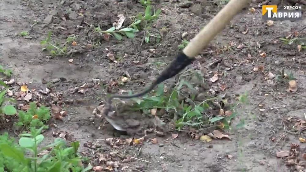 � 1-�� �������� ������ ������ ���������� ��������� �������