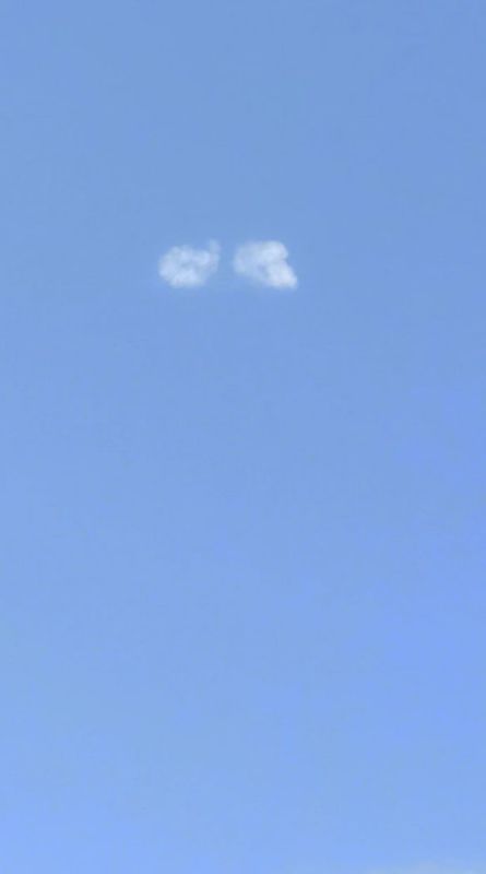 � ����� ������� �������� ���