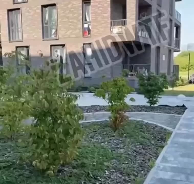 - ������ �. �������� ��������� �������