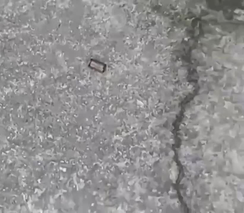 � ����� ������� ��������� ��������� �� �������� ������� ������������� ������� ����, �� � �������� � ������� ���������