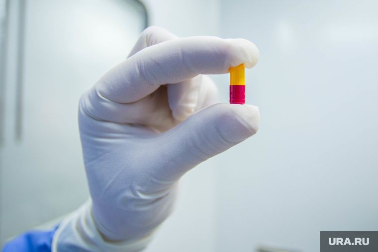 Baza: ����� ��� ���������� ������� ������ ��������