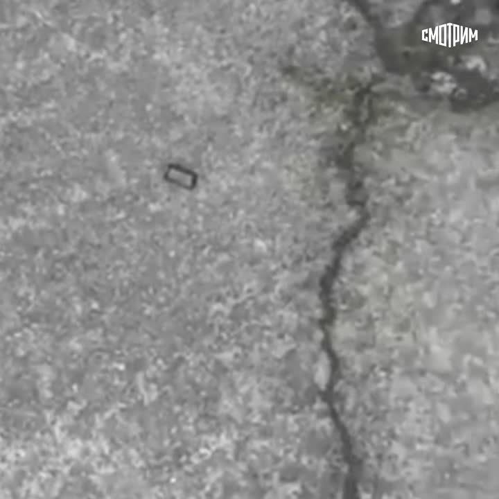 �������� ������������� ����� ������� ������� ���� ��������� � ���������� ����� ������������ �� ���� ���������