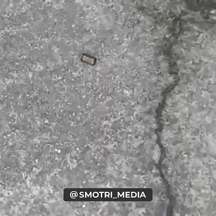 � ����� ������� ��������� ��������� �� �������� ��� ������� ����, �� � �������� � ������� ���������