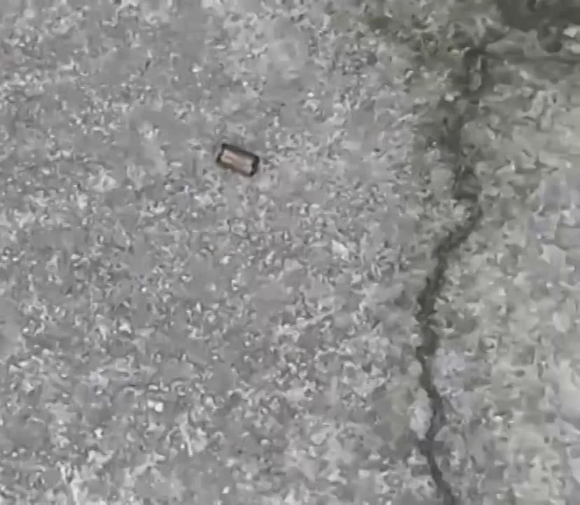 � ����� ������� � ���������� ��������� ����� �������� ������� ������������� ������� ���. � ��������� ������ �� ���������������� � ������� ���������