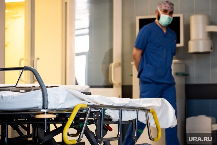 �������� ������������� ����� ������� ���� ���� ����� ���������