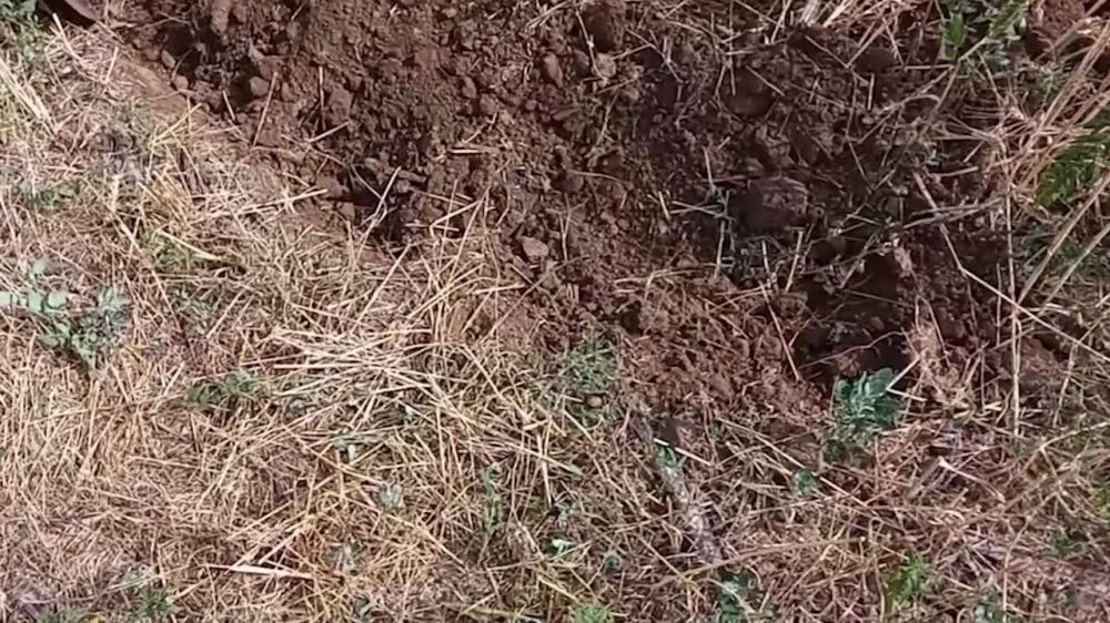 � ���������� ������� ���������� ����� � ������� � ������������, ������� � ���������� ��� �������������� �����������-����������������� �������� ���, ������� ��� �������� � ������� ������� ����������