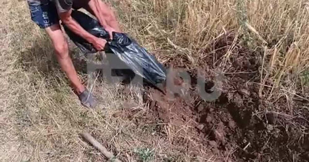 �������� ��� ������� ����� ������ ��� ������������ ������ ��� ��������