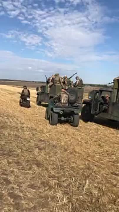 ����������� ������������ �������� "���������� ����������� �����������