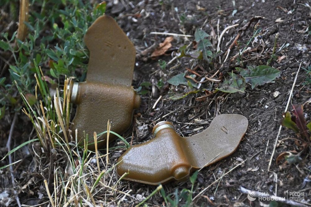 �������� ������� � ���������� � ������� ����������� � ������ "��������"