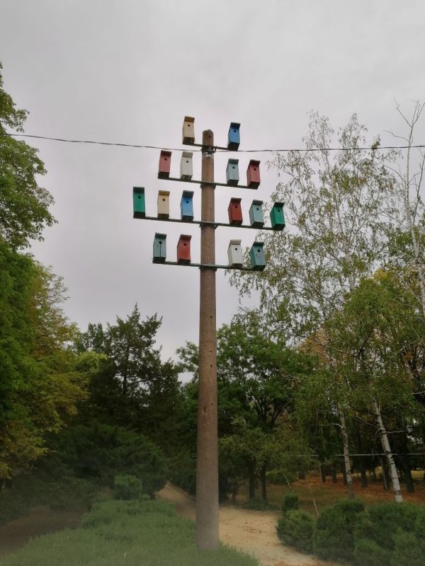 10 ������� � ������� ��������� �� 33� �����, ����� ������-��������� 3,8 �/�, ������� ����������