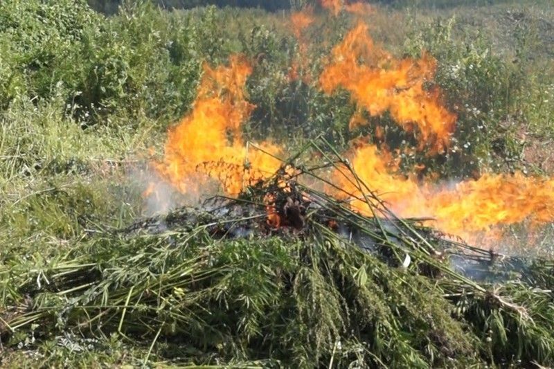 �������� � ����� ������� �������� �� ��������