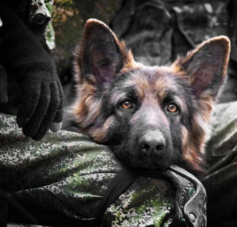 ������ ������ �� ��������� � ������ ��������