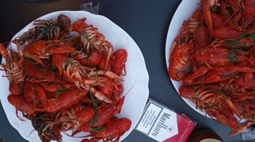 ��� ���� � �������? ������ ����� ������������!