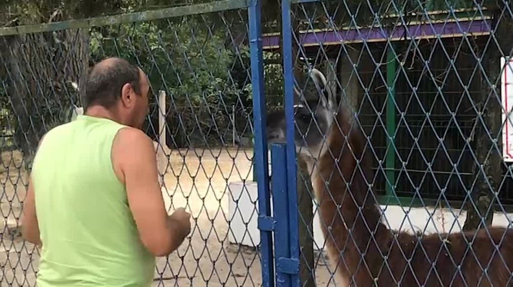 11_08_22 ������ ����� � ����������