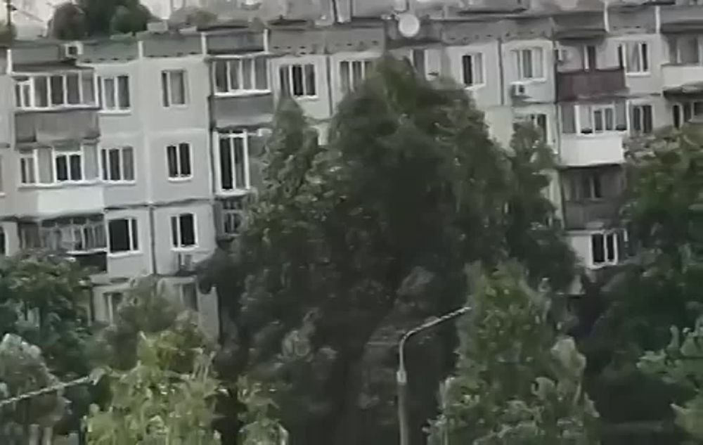 ��� ���������� �������� ����������� ���