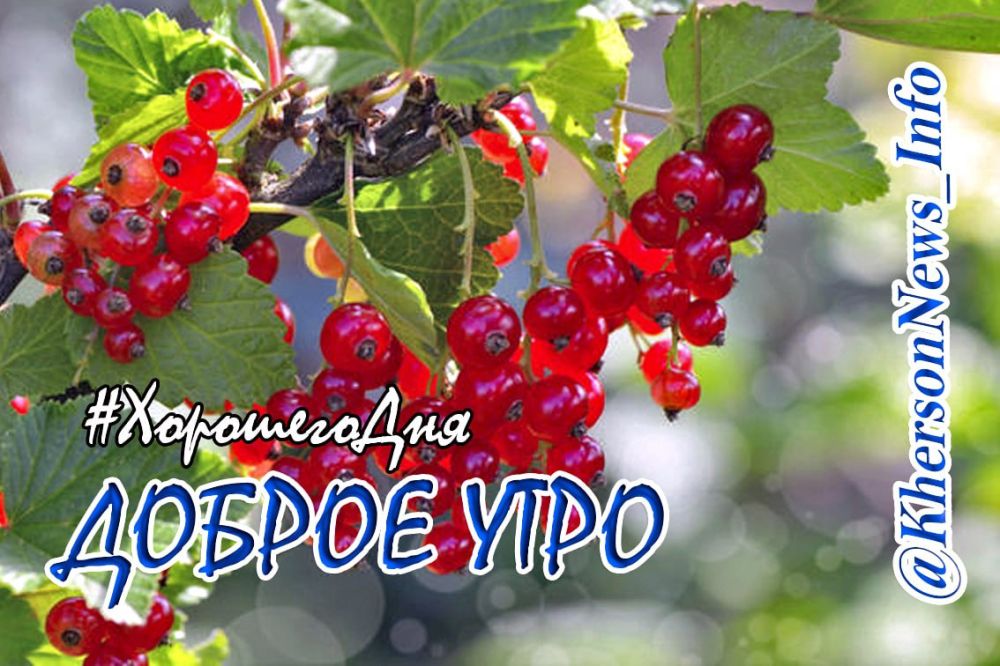 � ����� �����, � ����� ����, ������� ���������� ������ ������! �������� ���� ��� � ����������