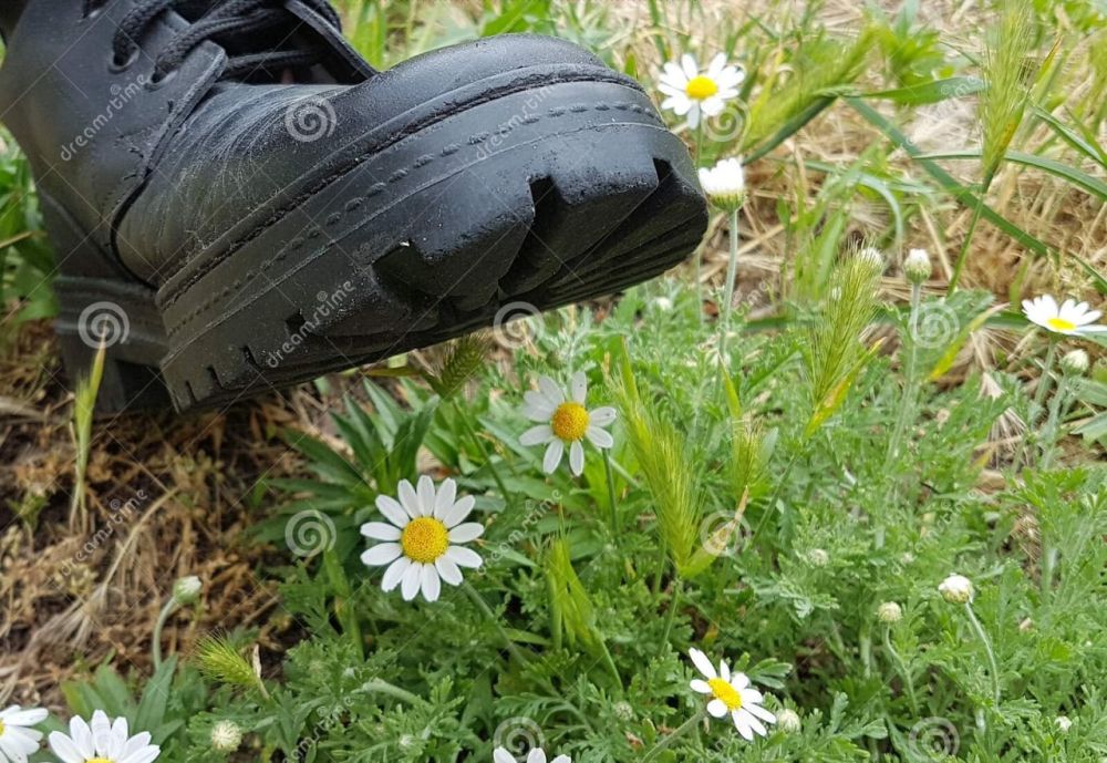 ��� ���� ���� �����... ����� ������ � ����������. ��, �� ��� ����!