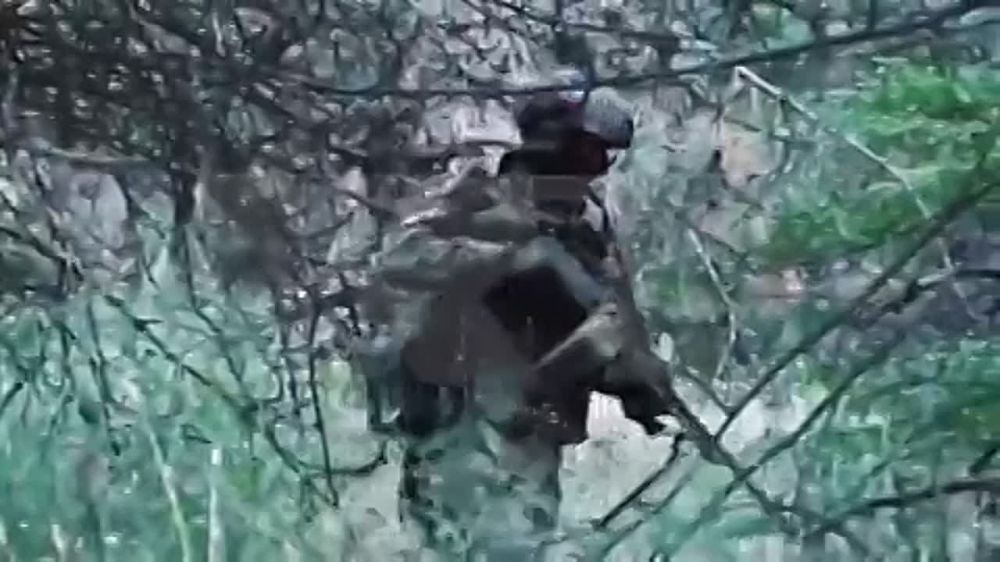 ������ ������ ������������� ������������ ���������� ���������� � ���������� �������