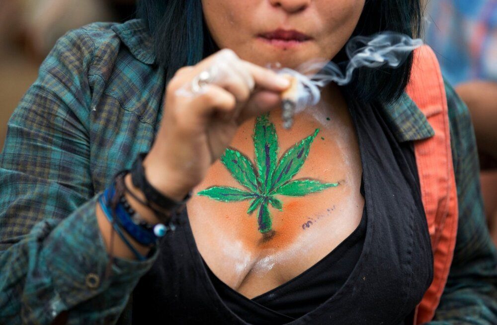 �������� ������������ ������� 48 ������ �������