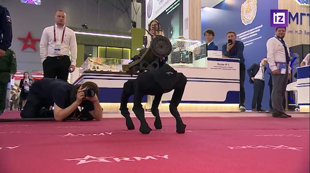 "�������" �������� �� ������ "�����-2022"