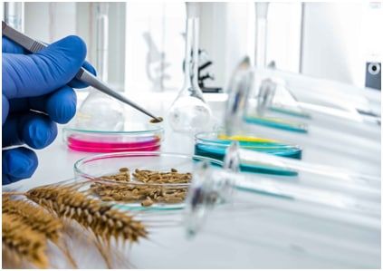 ��������� �������������� ���������� ������� ��������: