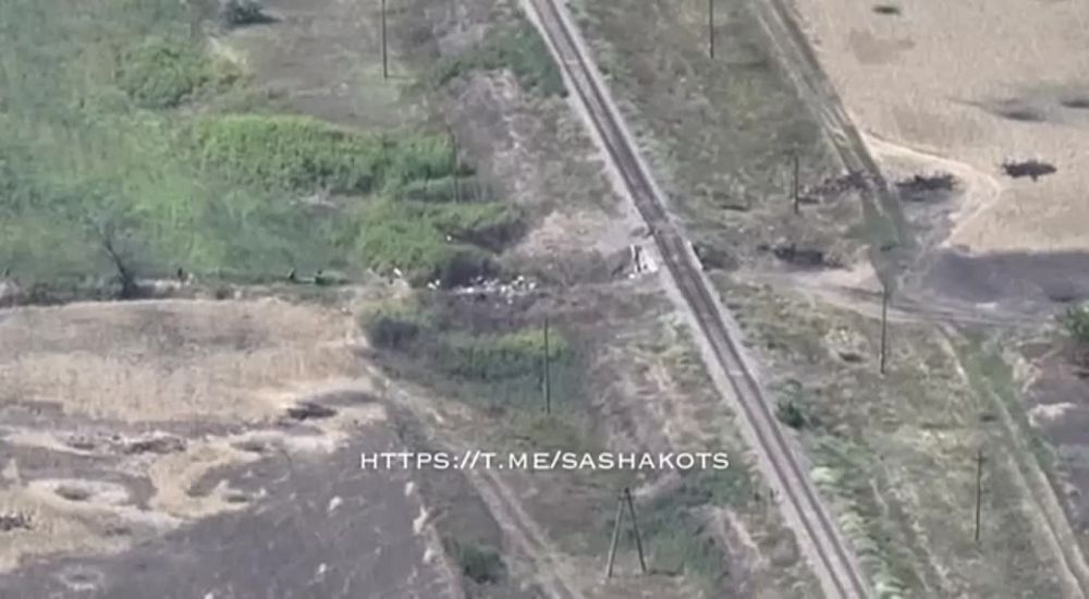 ������, 14.08.2022. ����������� �������� ��������� ������ ��� �� ���������� �����������. ����� ���������� �������������� ��������������