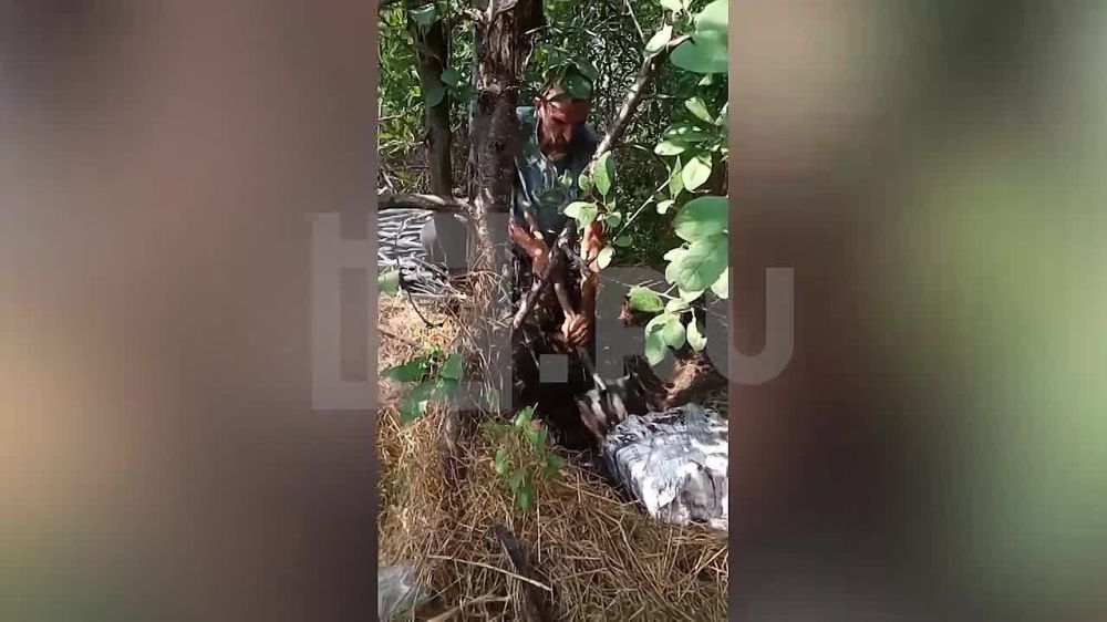 � ������������ "��������" ��������� ����� ���������� ��������� � ���������� �������, ������� ������� ���