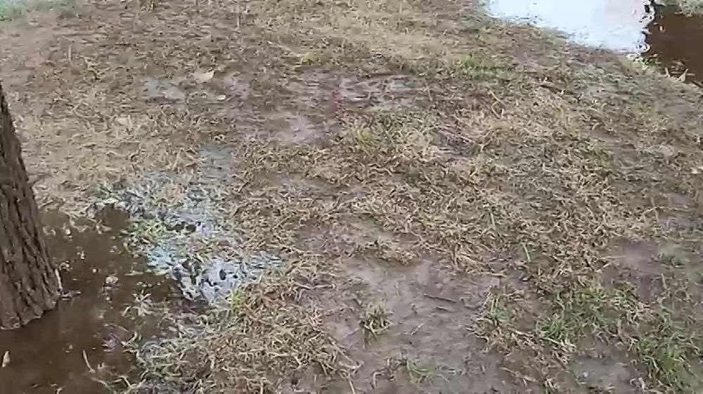 16_08_22 ������ � �������