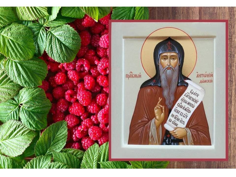 16 ������� (3 ������� �� ������� �����) ���������� ������������ �������� ������ ������� ���������