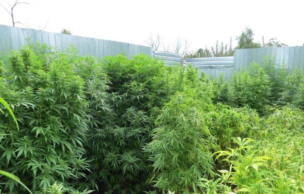 � ������� ���������� ��������� ������� � ������� ������ ��������� �� ���