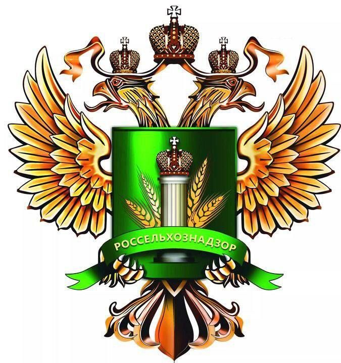 ��������� �������������� ���������� ������� ��������� ���������� �������� � �������� ������: