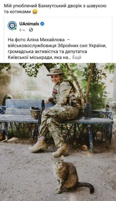 ��� ��� ��: ���������� ������� �������� ������ ���������