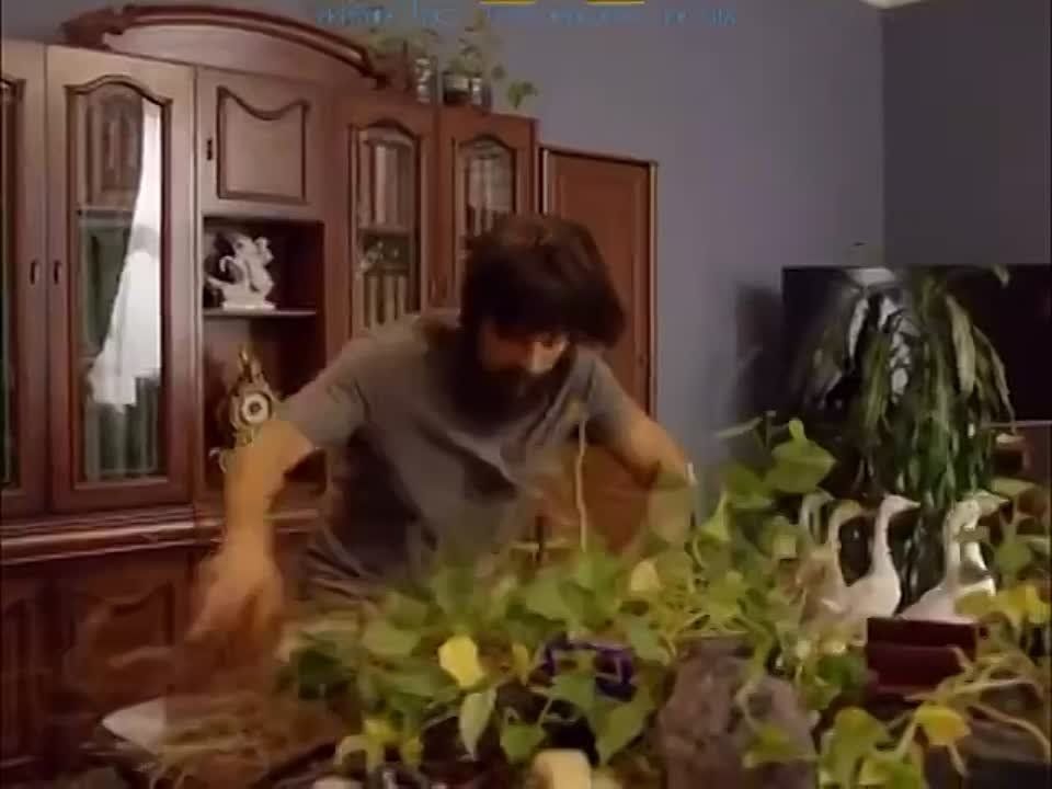 ������� �����. � ��������� Telegram