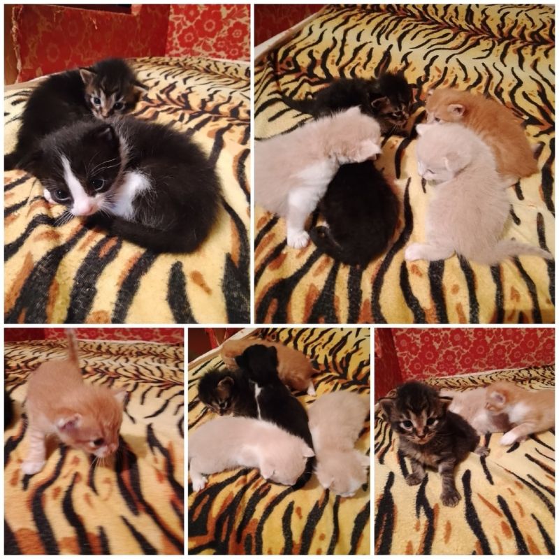 � ������� ������������ ����� � �������� ��������� � ����� ������� �����