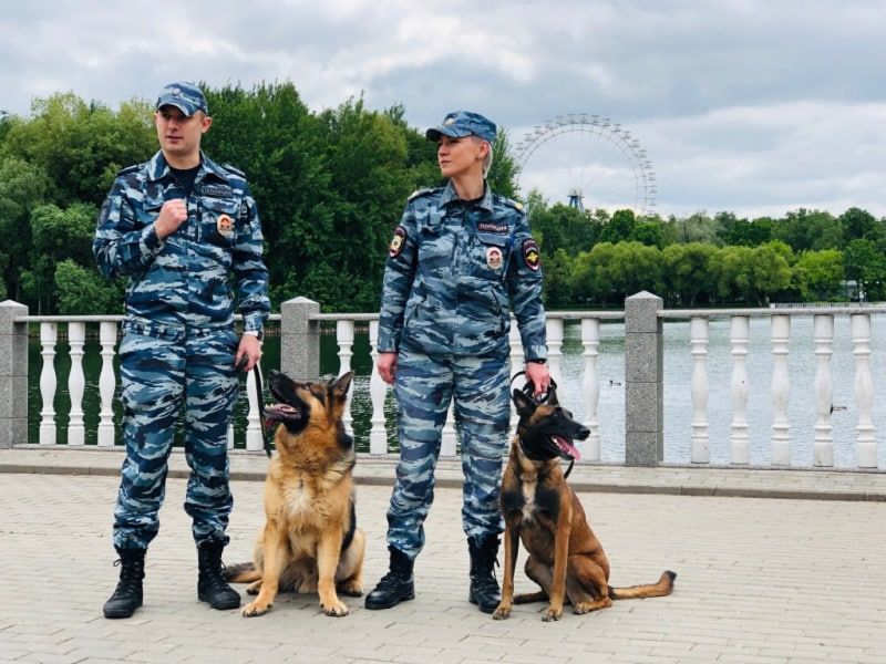 �� ��� ���������� ������� ���������� �� ������ ����������� ���������