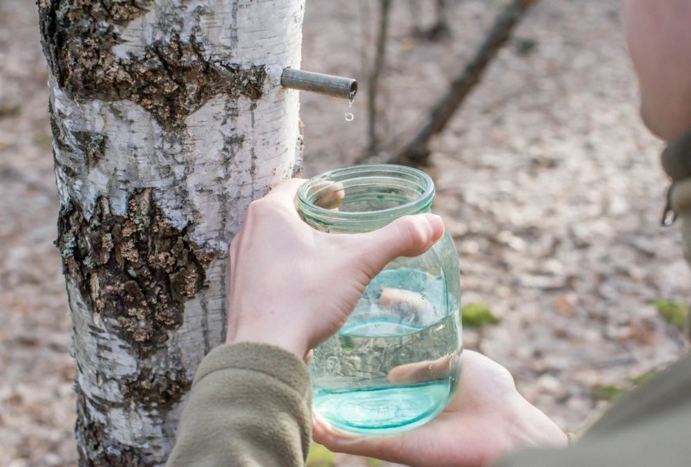 ���������� ���������� ������ ��� �� ������ � �� ��������� �� ���, ��� �� ������������