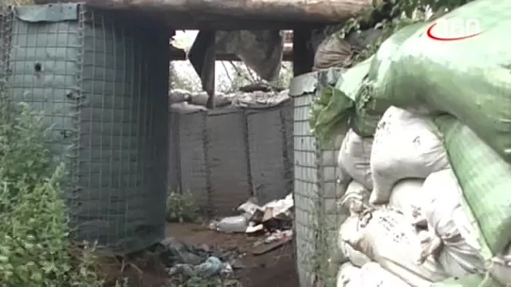 ���� ������� ����� ���? ���������� ��������� �������� � �������� ������� � ����������� �����������