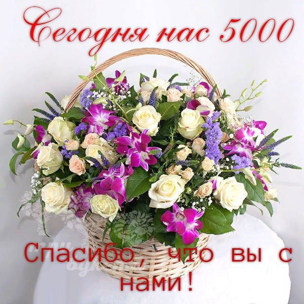 ������� ��� ����� 5000. ��� ����-��, �����, ��� � ������ �� ������, � ��� ��� ����� �����